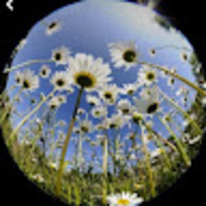 Meet your Posher, Sofia